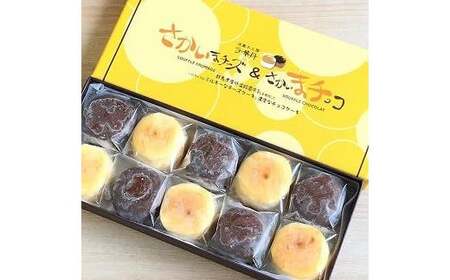 生乳のミルキーな風味！一口チーズ＆チョコケーキ10個