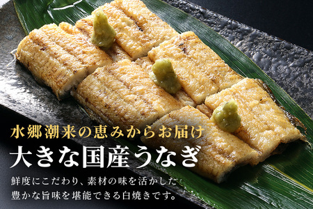 増田川魚店うなぎ白焼＜特上5本＞ うなぎ 白焼き 特上 5本 愛知県三河産 国産 ウナギ 鰻 しらやき タレ 山椒付き 炭火焼き 冷蔵便 贈答用 ギフト 家庭用 土用の丑 茨城県 潮来市 (A07-001)