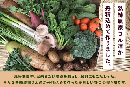 ＜玄米 5kg＞『身体が喜ぶ野菜とお米』詰め合わせ おまかせセット 茨城県産 コシヒカリ 米 お米 ご飯 ごはん 栽培期間中農薬不使用 季節の野菜 セット 微生物農法 EM農法 有機栽培 産地直送 新鮮 家庭用 潮来はぐくみのもり 茨城県 潮来市 (A03-003)