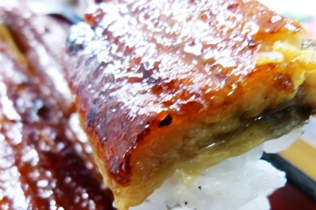超特大!やわらか 国内産うなぎ蒲焼 220～250g 1尾 肉厚ジューシー 国産ブランド鰻 ふっくら仕上げ 蒲焼きのタレ・山椒付き 湯煎で簡単調理 うな丼 うな重 ギフト 贈答用 冷蔵配送 国産 茨城県 潮来市 (A23-003)