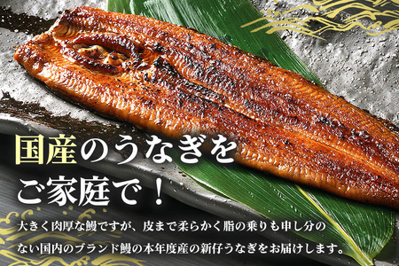 やわらか国内産 うなぎ蒲焼 食べ切りサイズ! 100～120g 4尾 計400g以上 ふっくら蒲焼き ブランド鰻使用 秘伝のタレ・山椒付き 湯煎で簡単調理 うな丼 ちらし寿司 贈答用 ギフト 冷蔵配送 国産 茨城県 潮来市 (A23-010)