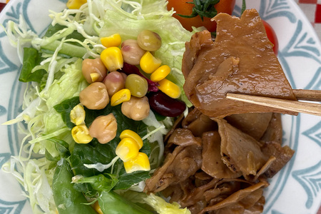 国産有機大豆ミート生姜焼き 100g×10パック 植物性原料使用 ヴィーガン対応 JAS認証取得 お肉のような食感 ボリューム満点 ヘルシー食品 健康志向 冷凍保存 簡単調理 茨城県 潮来市 (A61-002)