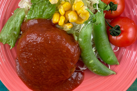 国産有機大豆ミートハンバーグ 100g × 4パック 植物性原料使用 ヴィーガン対応 JAS認証取得 お肉のような食感 ボリューム満点 健康志向 ヘルシー食品 冷凍保存 茨城県 潮来市 (A61-004)