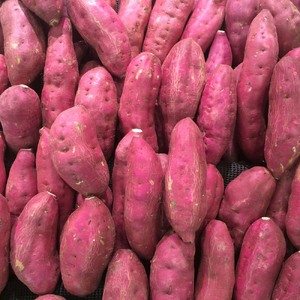 【令和８年11月下旬】干し芋 ひいとい干し 100g×3袋 干しいも さつまいも サツマイモ 和菓子 お菓子 デザート 和スイーツ おやつ 甘い おいしい【R01515】