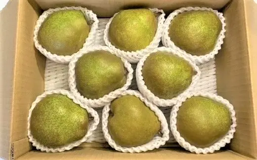 西洋梨（ラ・フランス）３ｋｇ　ご家庭用　0126-2602