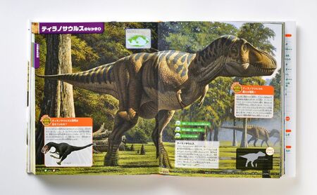 本 講談社の動く図鑑MOVE 生きもの 7冊 セット 入学・進級お祝い 子供 小学生 学習 ギフト 贈答 プレゼント
