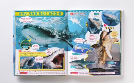 本 講談社の動く図鑑MOVE はじめてのずかん 7冊セット 子供 小学生