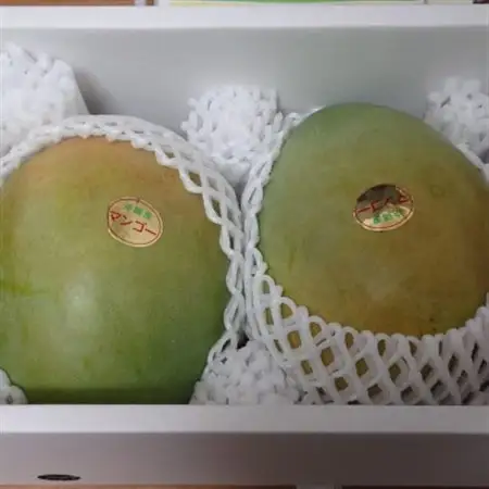 伊平屋産の幻のキーツマンゴー約1kg(1～2玉)【1497062】