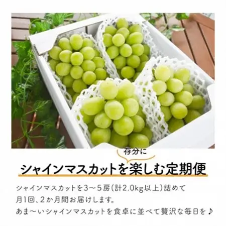 【発送月固定定期便】シャインマスカット(3-5房)を楽しむ満足便!2便計4.0kg～(岡山産)全2回【配送不可地域：離島】【4065363】