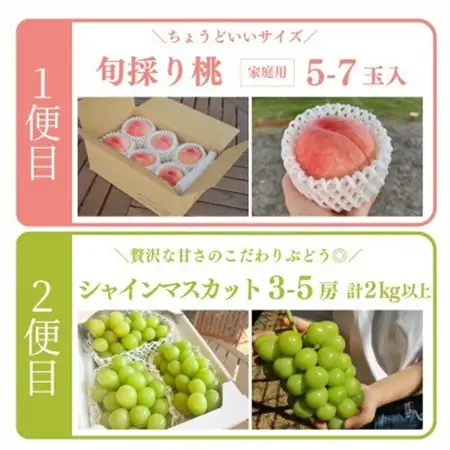 【発送月固定定期便】おかやまフルーツ便! 桃とシャインマスカットどっちも食べたい!(岡山県産)全2回【配送不可地域：離島・北海道・沖縄県】【4065365】