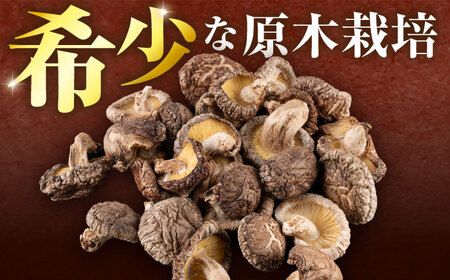  原木 栽培 干し 椎茸 どんこ 小粒 約500g(100g×5袋) 【小春農園】[ZBN004]