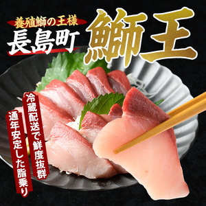 【期間限定特別寄附額】＼年始発送 先行予約／＜数量限定＞【2027年1月8日発送】『旅サラダ』で紹介ぶりの王様「 鰤王 」 フィレ 半身 (約1.2kg～・フィレ1枚) 産地直送 新鮮 旨味が抜群の 長島町 特産品 ブランド ぶり 鰤 ブリ 切り身 真空 冷蔵 刺身 ぶりしゃぶ しゃぶしゃぶ 魚 魚介 人気 ランキング 年末年始発送 【JFA】jfa-1630-08