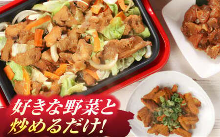 鶏ちゃん セット 計8袋（味付豚焼肉・豚ホルモン付）白川町 / 白川町農業開発[AWAH001]
