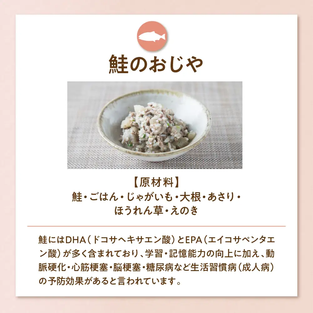 鮭のおじや　100g×3袋入