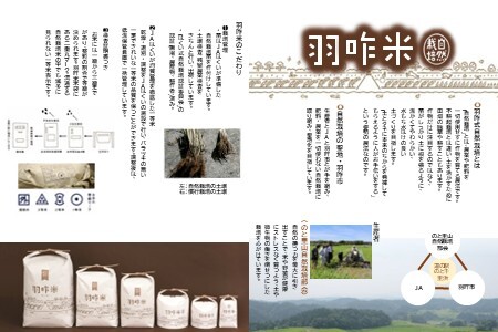 【米焼酎】 のと千里浜 (720ml X 1本) 焼酎 米焼酎 F035