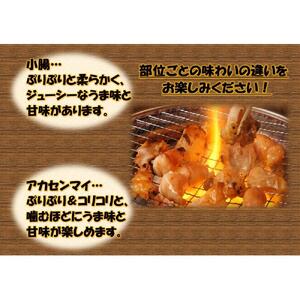 国産牛　ホルモンセット　500g