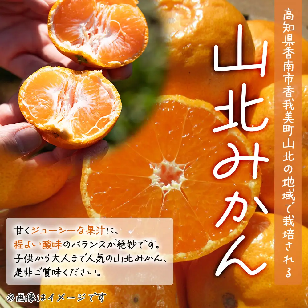 訳あり 山北みかん 5kg みかん th-0031