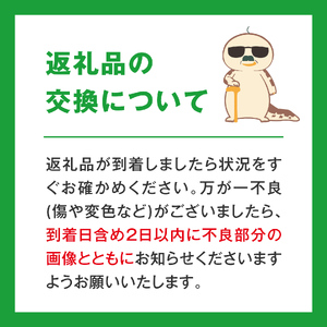 【先行予約】たにがみ農園 新甘泉梨 2.5kg(5～9玉) 梨 なし フルーツ 果物 くだもの 鳥取県 佐治 梨 なし ナシ