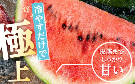 【先行予約】日田西瓜（すいか）【羅皇ザ・スウィート：1玉 7〜9kg】 スイカ[AREW002]
