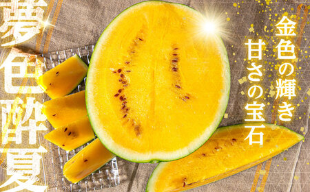 【先行予約】金色羅皇すいか（夢色酔夏：1玉 7〜9kg )  スイカ[AREW003]