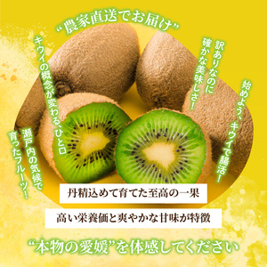 キウイフルーツ ヘイワード 2.5kg サイズ混合 家庭用 【先行予約 2026年10月下旬から発送】 | きうい 果物 キウイくだもの フルーツ おすすめ 人気 お取り寄せ グルメ ギフト 期間限定 数量限定 ご当地 愛媛県 松山市【RNK0161】