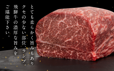 飛騨牛 ランプブロック 500g 【22-39】