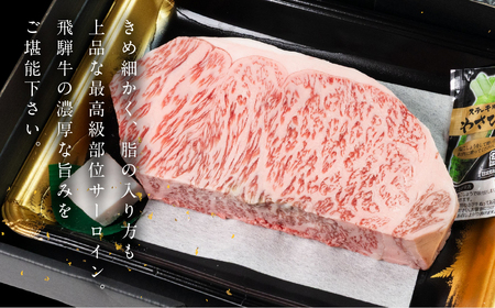 飛飛騨牛 サーロインブロック 500g 【22-42】