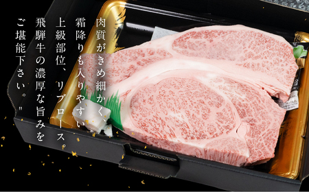 飛騨牛 リブロースブロック 500g 【22-43】