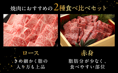 飛騨牛ロース・赤身焼肉セット（ロース200g・赤身300g）計 500g【22-44】