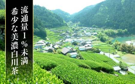 【先行予約 2026年産 新茶】 美濃白川茶 新茶セット 100g×2袋 白川町 / 白川町農業開発[AWAH005]