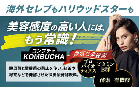 煎茶コンブチャ　fog-sencha 750ml オリジナルコンブチャ お茶 発酵飲料 腸活 白川町 / 新田製茶[AWBK006]