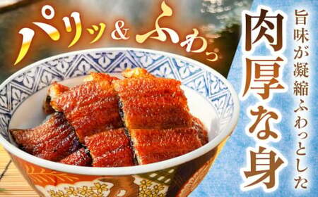 【国産うなぎ】蒲焼1尾 約130g以上 うなぎ 白川町 多幸八[AWBL001]