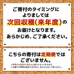 【産地直送】季節の奥久慈野菜 詰め合せセット（春、夏、秋、冬） 野菜 野菜セット 季節 セット 特産 詰め合わせ 国産 旬 おまかせ お楽しみ 直送 【常陸大宮5Hクラブ】【ho1483】