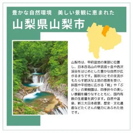 【返礼品なし】山梨県山梨市への応援寄附金(1口5,000円)