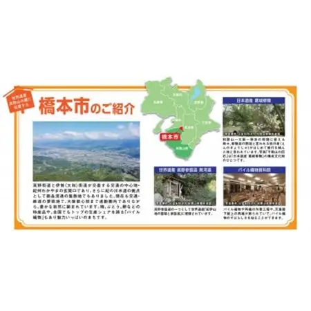 【返礼品なし】和歌山県橋本市への応援寄附金(300,000円分)