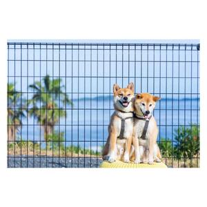 愛犬と泊まる絶景グランピング「LEMON FARM GLAMPING しまなみ」宿泊補助券 15,000円分