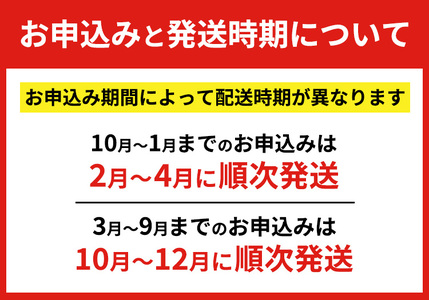 行者にんにく 苗根 20本（4年～5年物） ｜ にんにく ニンニク ガーリック 家庭菜園 栽培 野菜苗 野菜 薬味 料理 産地直送 那須 栃木県 那須町〔B-120〕