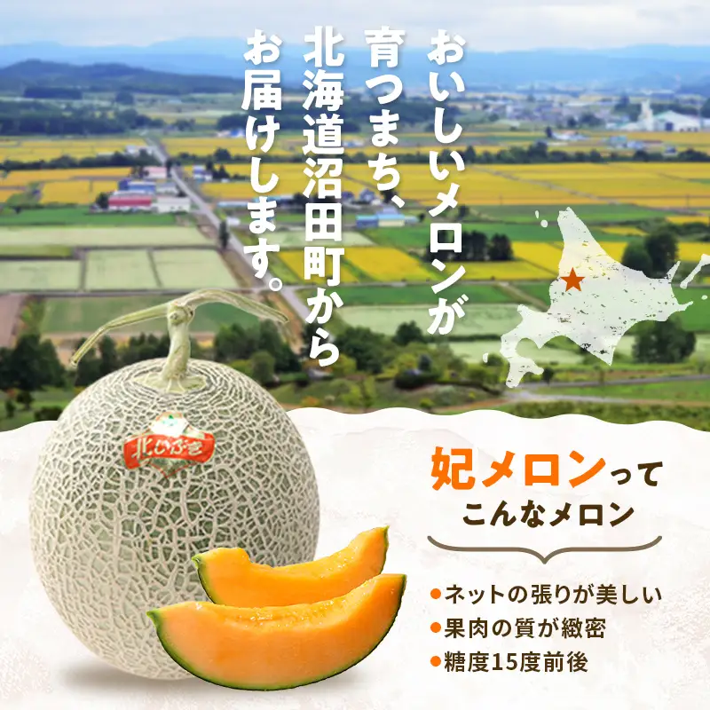 【先行予約】令和8年産 妃メロン 赤肉 大玉 2玉（令和8年7月下旬～8月中旬発送予定） 北海道 n-0189