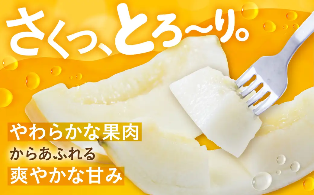 【ふるなびWEEK対象】【先行予約】イエローキングメロン 4～6玉 メロン 