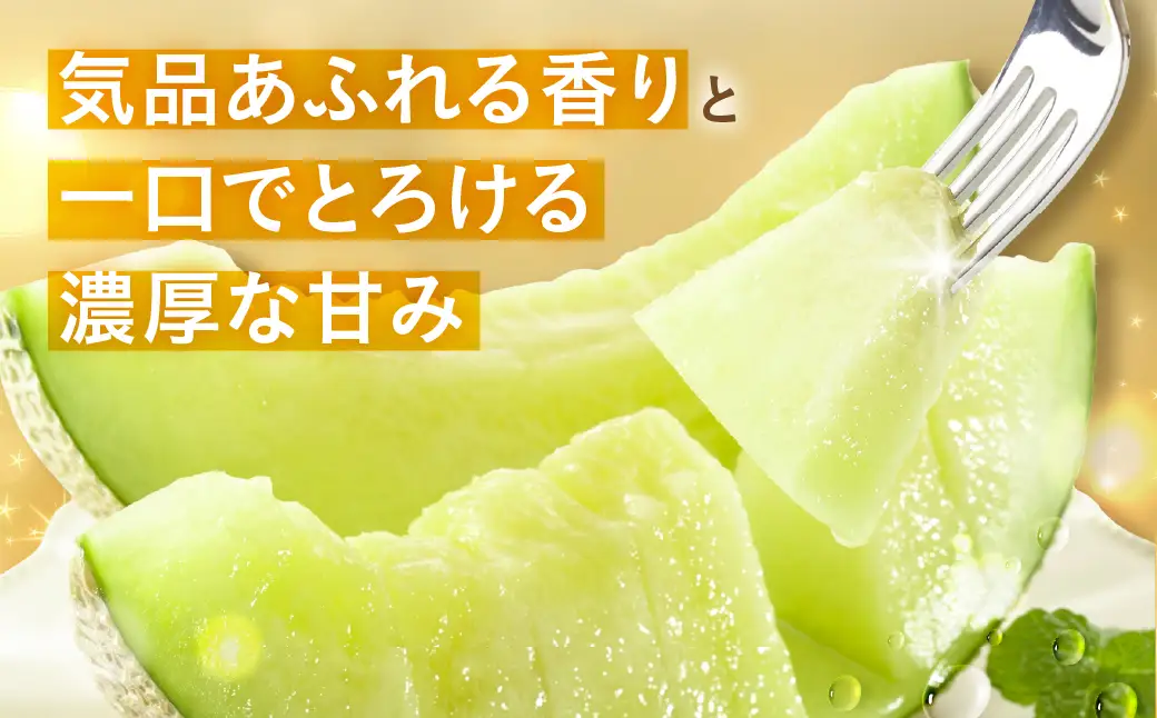 【ふるなびWEEK対象】【先行予約】タカミメロン 4～6玉 メロン JA愛知みなみ