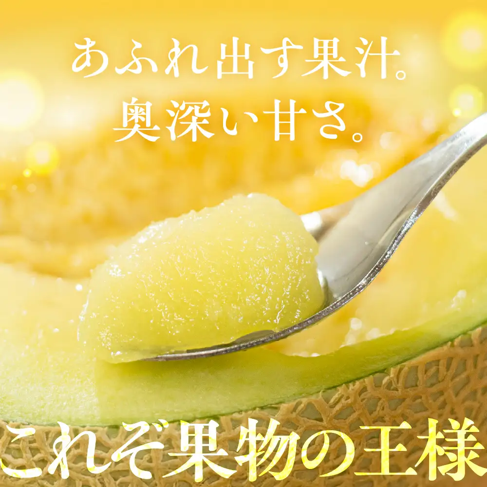 【先行予約】アールスメロン 2玉 メロン JA愛知みなみ