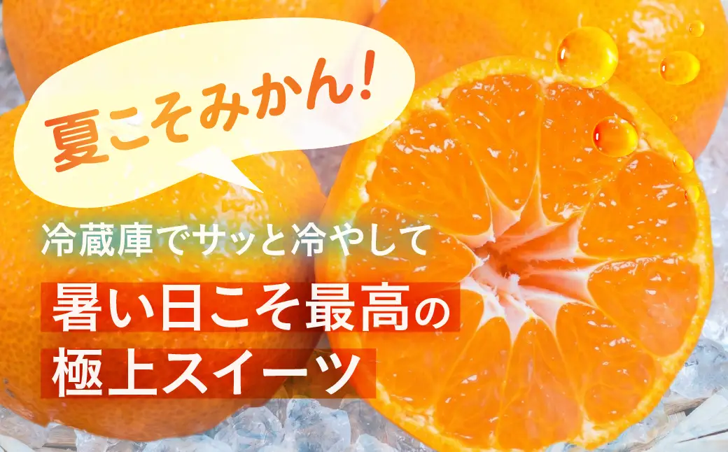 【ふるなびWEEK対象】【先行予約】伊良湖 温室みかん 2kg みかん フルーツ