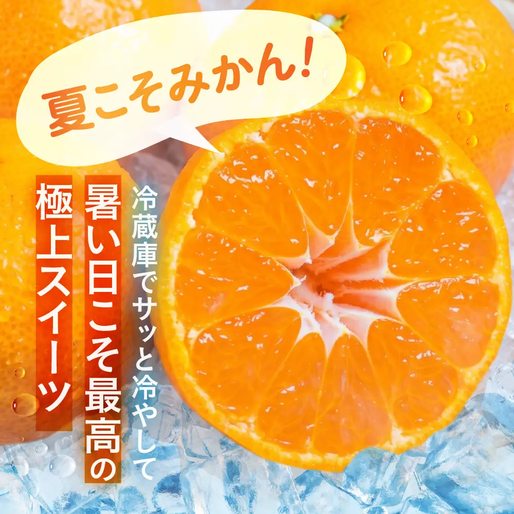 【先行予約】伊良湖 温室みかん 5kg みかん フルーツ