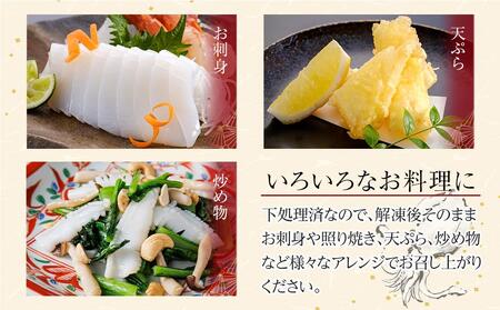 むきあおりいか 約3kg (1kg×3) 下処理済 冷凍 小分け【アオリイカ いか イカ 刺身 お造り 海鮮 魚介 いかソーメン】