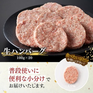 宮崎県産豚肉「まるみ豚」生ハンバーグセット計2kg（100g×20個）お手軽 真空パック 豚肉					