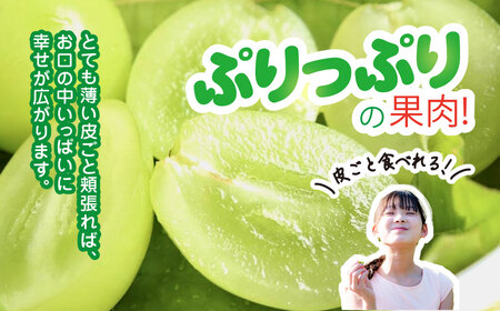 シャインマスカット 700g × 1房 シャインマスカット