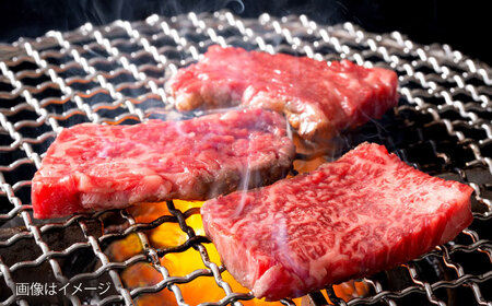 【冷蔵発送でお届け】 葉山牛 焼肉用切り落としセット 約1kg 【JAよこすか葉山】[AKFO012]