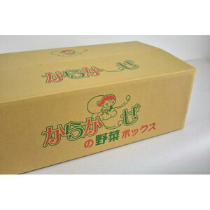 伊勢崎産＜採れたて！店長厳選！＞新鮮野菜詰合せ