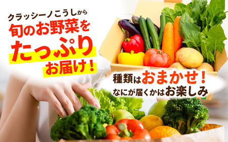 【年5回コース定期便】合志の旬のお野菜10品から12品目  野菜[AYAB020]