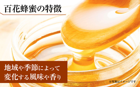 立山養蜂場 百花蜂蜜 500g 蜂蜜 国産[AYAB028]